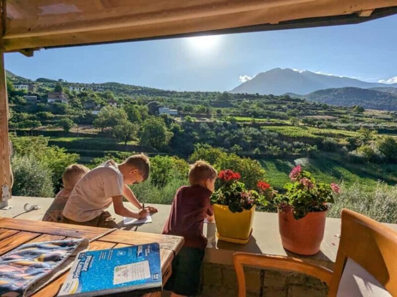 From Durrës: Wine Tasting at Alpeta Winery in Berat - A Deep Dive into the Berat and Alpeta Winery Experience