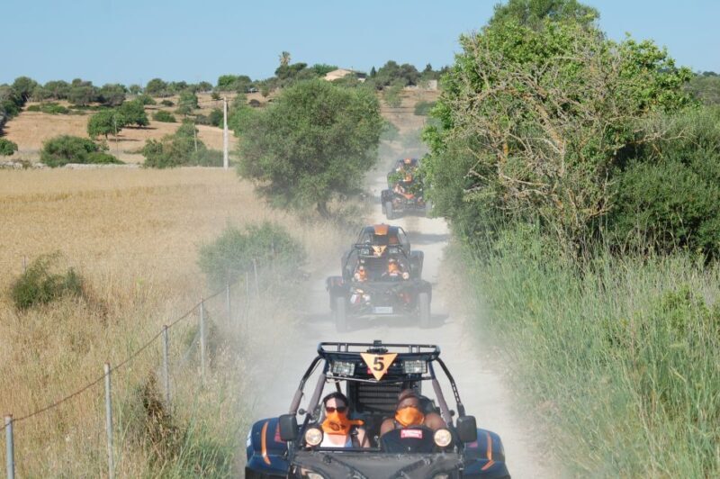 From East Mallorca: Guided Beach and Mountain Buggy Tour - Detailed Review of the Mallorca Buggy Tour