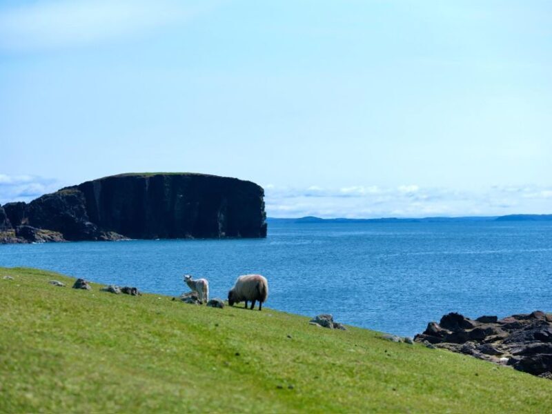 From Edinburgh: 6-Day Shetland & Nothernmost Explorer - Exploring the 6-Day Shetland & Northernmost Explorer