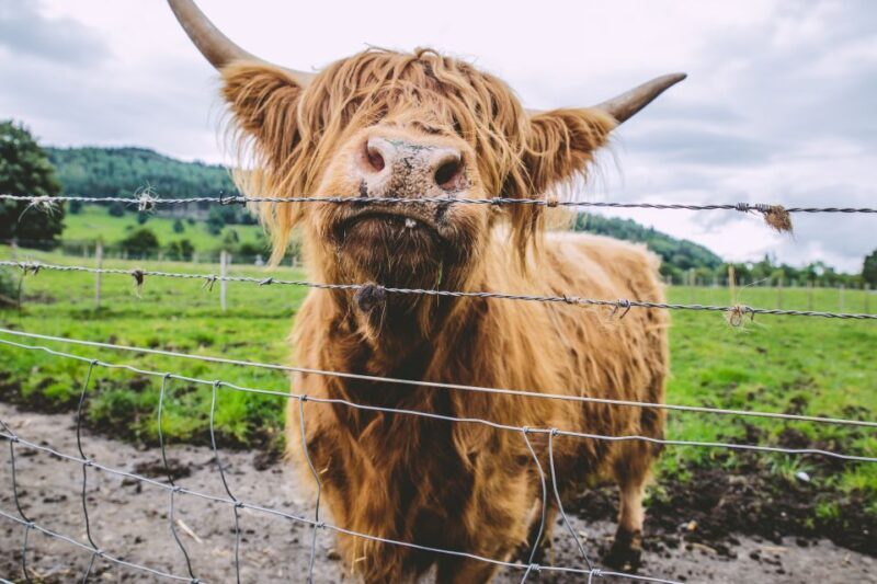 From Edinburgh: Isle of Skye and Outer Hebrides 6-Day Tour - Who Will Love This Tour?