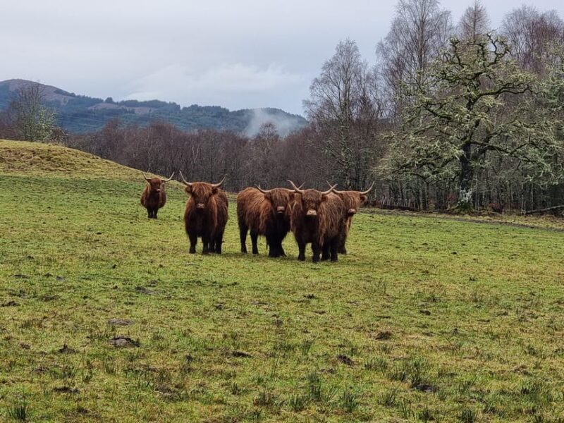 From Edinburgh: Loch Ness Private Day Tour with Transfers - An In-Depth Look at the Loch Ness Private Day Tour