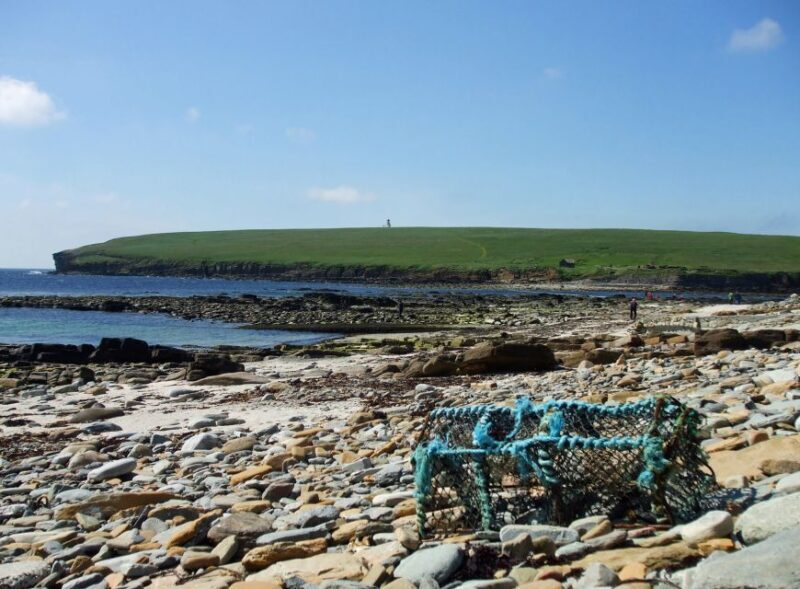 From Edinburgh: Orkney and The Far North 5-Day Tour - Who Will Love This Tour?