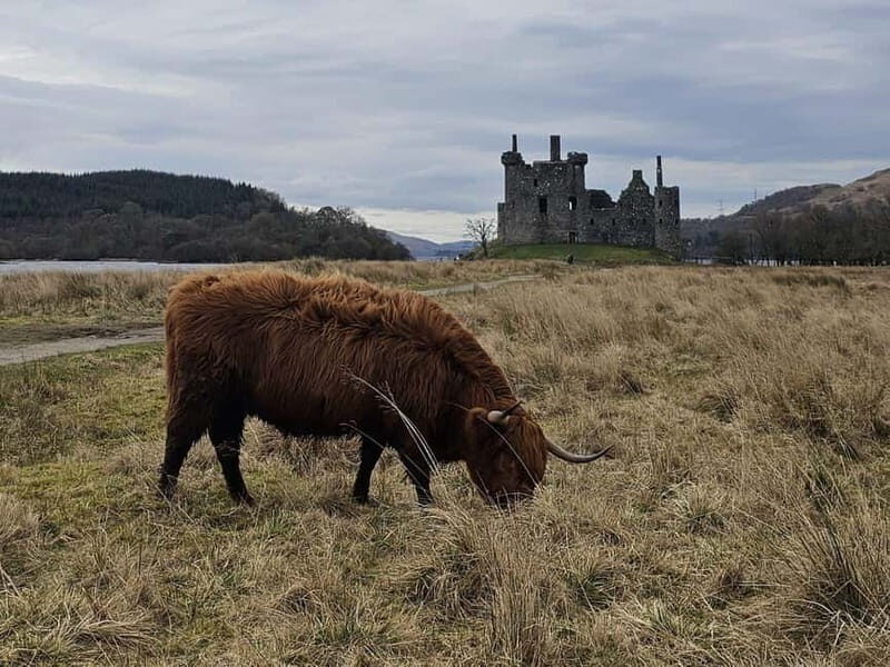 From Edinburgh: West Highlands Luxury Private Day Tour - Concluding Thoughts