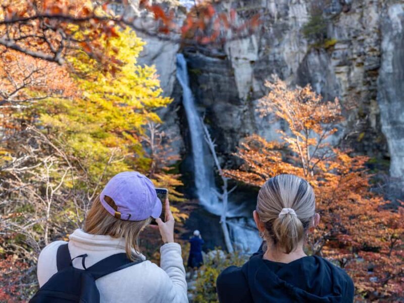 From El Calafate: Full-Day Tour to El Chaltén - Final Words