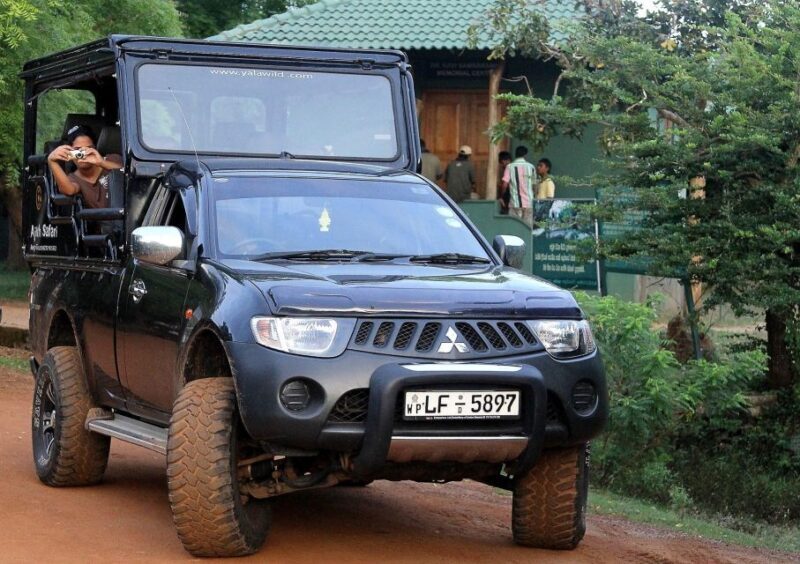 From Ella: Drop to Tangalle/Hiriketiya/Mirissa & Yala Safari - From Ella: Drop to Tangalle, Hiriketiya, Mirissa & Yala Safari — A Real Wildlife and Coastal Combo