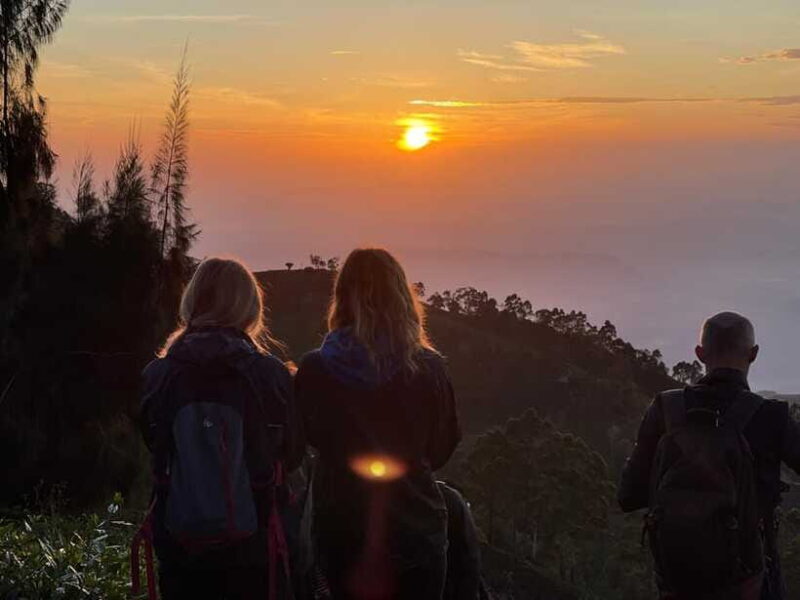 From Ella: Lipton Seat & Dambatenne Tea Factory Day Tour - From Ella: Lipton Seat & Dambatenne Tea Factory Day Tour