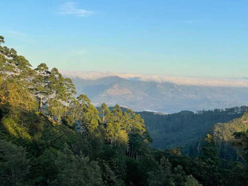 From Ella: Lipton Seat & Dambatenne Tea Factory Day Tour - What You Can Expect: Detailed Itinerary Breakdown