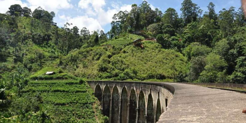 From Ella: Little Adams Peak and Nine Arches Bridge Hiking - Who Will Love This Tour?