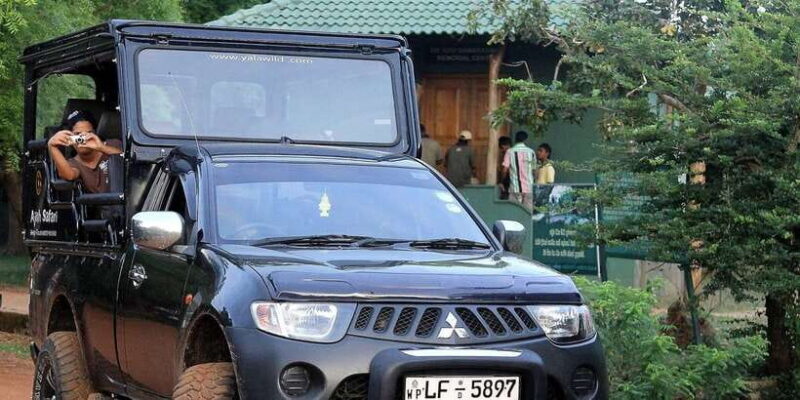 From Ella: Shuttle to Tangalle/Hiriketiya w Udawalawe Safari - The Safari Experience: Wildlife Close-Up