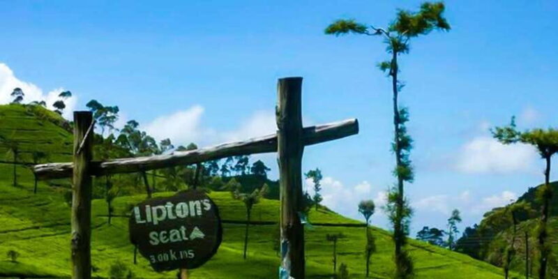 From Ella: Tuk-Tuk Tea Adventure: Lipton's Seat Excursion! - The Sum Up