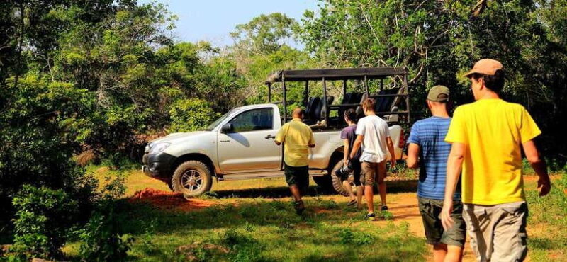 From Ella: Udawalawa Safari and Tangalle/Hiriketiya Transfer - Key Points
