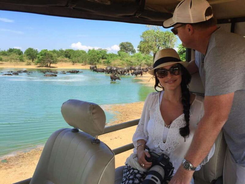 From Ella: Udawalawa Safari and Tangalle/Hiriketiya Transfer - The Value of This Tour