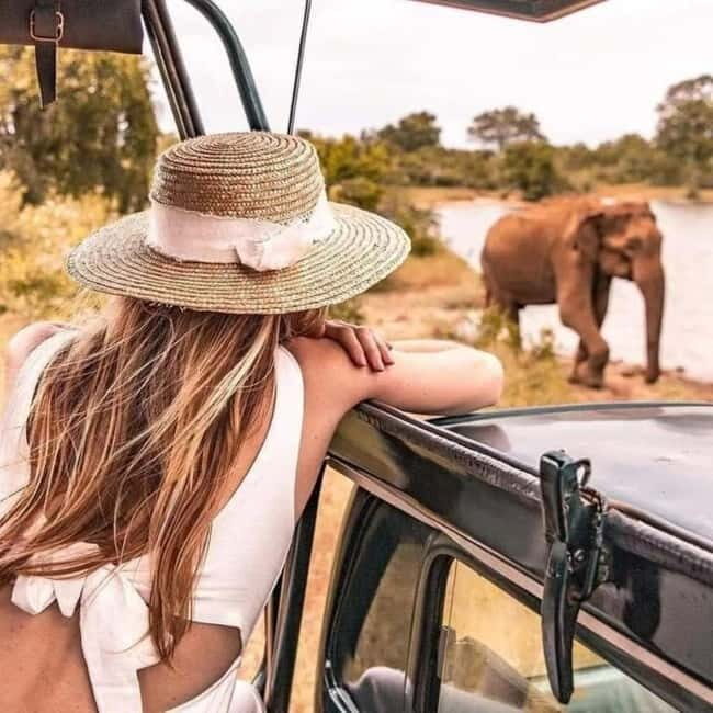 From Ella: Udawalawa Safari Drop: Galle / Mirissa / Tangalle - The Value of This Safari Experience