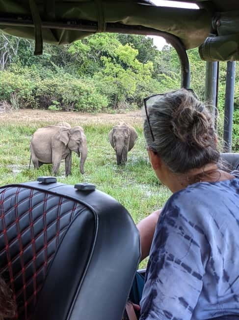From Ella : Udawalawa Safari & Drop Tangalle/ Mirissa/ Galle - Real Experiences from Travelers