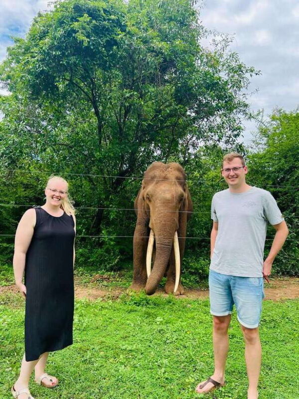 From Ella: Udawalawe National Park Safari with Elephant - Detailed Review of the Udawalawe Safari Experience