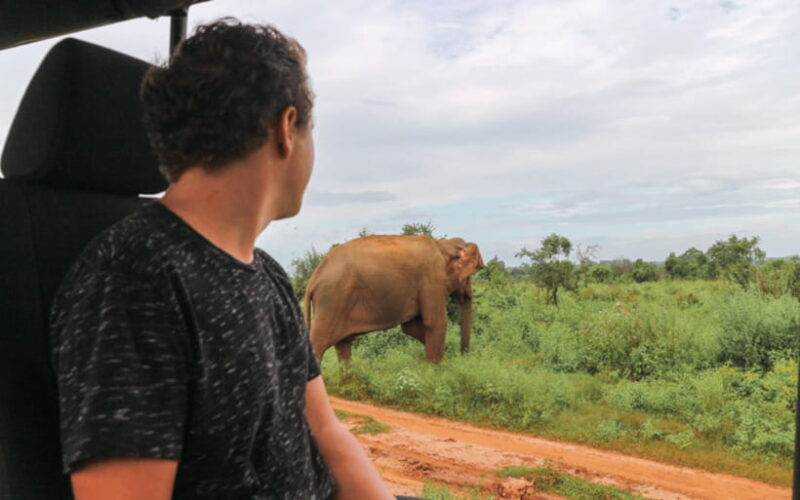 From: Ella - Udawalawe Safari - Hiriketiya - Summary: Who Will Enjoy This Tour?