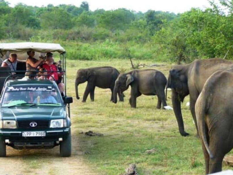 From Ella: Udawalawe & Yala National Parks 2-Day Tour - From Ella: Udawalawe & Yala National Parks 2-Day Tour