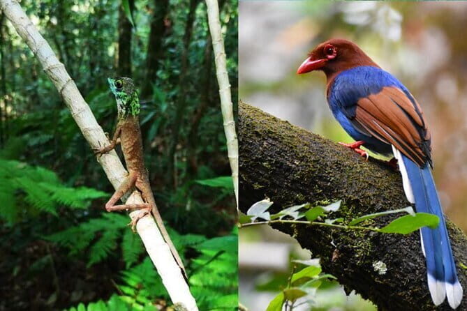 From: Ella - YALA Safari - Drop off: Arugam Bay / Arugambay - Frequently Asked Questions