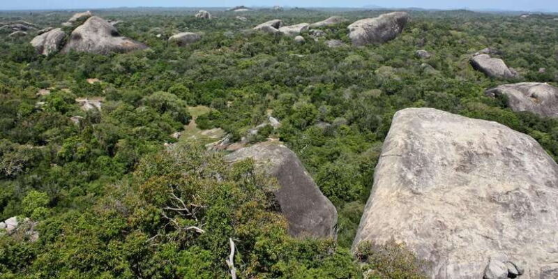 From Ella:Ravana Falls / Diyaluma Falls / Yala National Park - The Sum Up