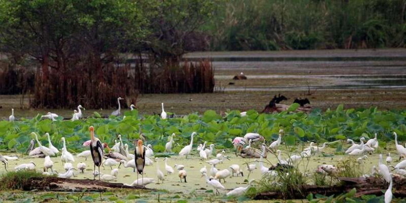 From Ella:Ravana Falls / Diyaluma Falls / Yala National Park - FAQ