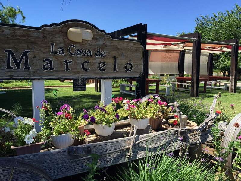 From Ensenada: Ojos Negros Valley Cheese & Wine Tasting Tour - Key Points