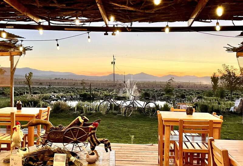 From Ensenada: Ojos Negros Valley Cheese & Wine Tasting Tour - A Few Considerations