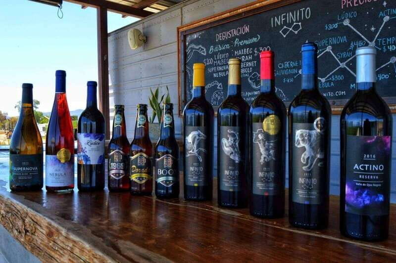 From Ensenada: Ojos Negros Valley Cheese & Wine Tasting Tour - Who Is This Tour For?
