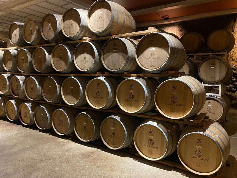 From Ensenada: Wine Tour at Guadalupe Valley Ensenada - Discover the True Flavors of Guadalupe Valley: A Private Wine Tour from Ensenada
