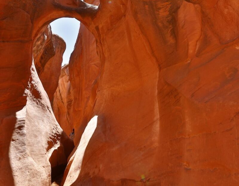 From Escalante: Dry Fork, Peekaboo & Spooky Slot Canyon Tour - The Sum Up