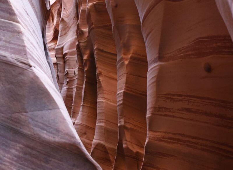 From Escalante: Zebra Slot Canyon Guided Tour and Hike - The Experience in Detail