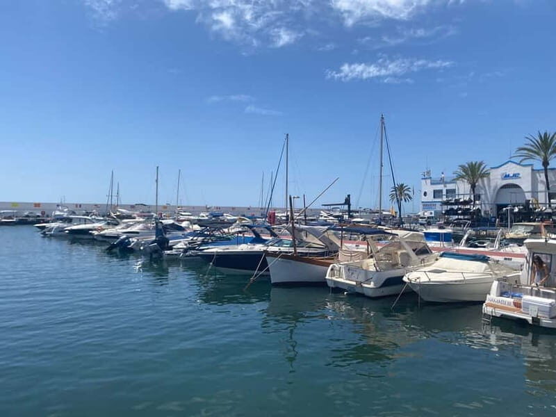 From Estepona, Mijas, Marbella: Marbella Tour Private Transport Tapas Drinks - Starting Point and Duration