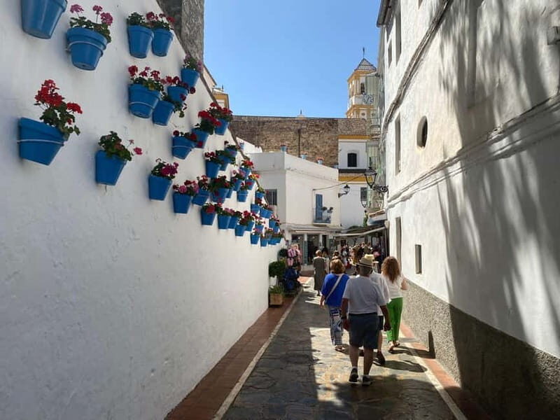 From Estepona, Mijas, Marbella: Marbella Tour Private Transport Tapas Drinks - The Paseo de Marbella