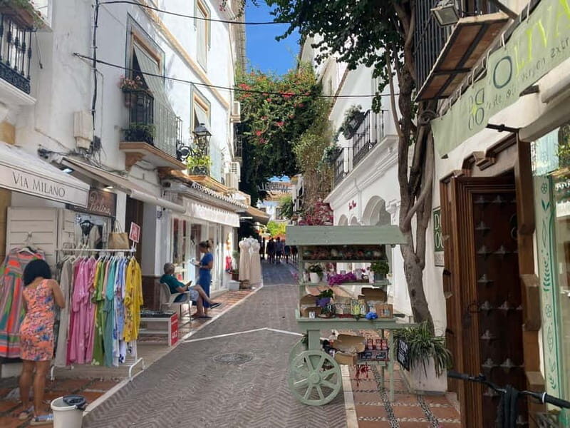 From Estepona, Mijas, Marbella: Marbella Tour Private Transport Tapas Drinks - Customizable Pacing and Experience