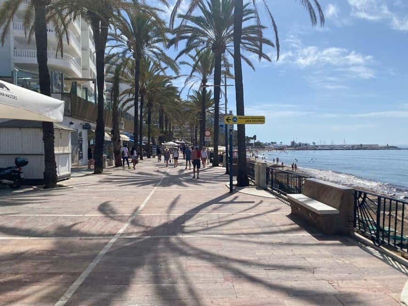 From Estepona, Mijas, Marbella: Marbella Tour Private Transport Tapas Drinks - Tapas and Drinks