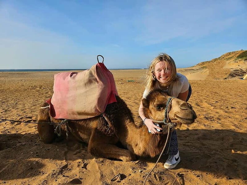 From Estepona: Tangier Day Trip with Ferry & Camel & Souk - Who Should Consider This Trip?