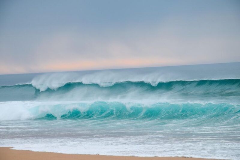 From Evora: Horseback riding on comporta beach - Practical Details and Considerations
