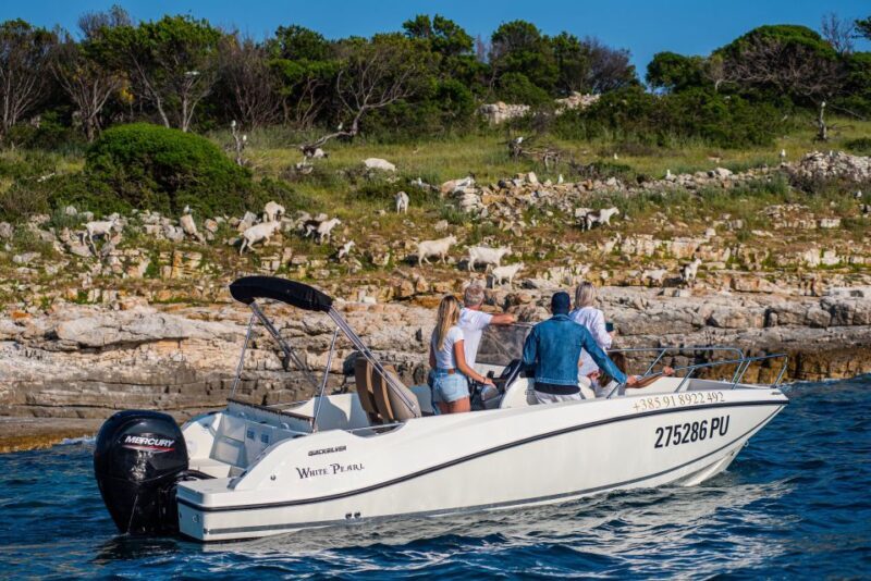 From Faana: Private boat tour of Brijuni Islands - Key Points