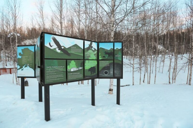 From Fairbanks: Arctic Circle Northern Lights Full-Day Trip - What’s Included and What to Expect