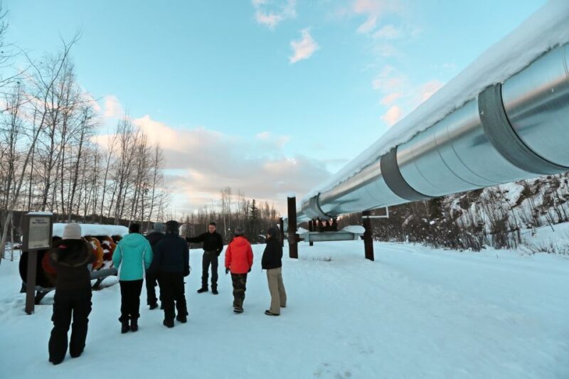 From Fairbanks: Arctic Circle Northern Lights Full-Day Trip - Final Thoughts: Is This Tour for You?