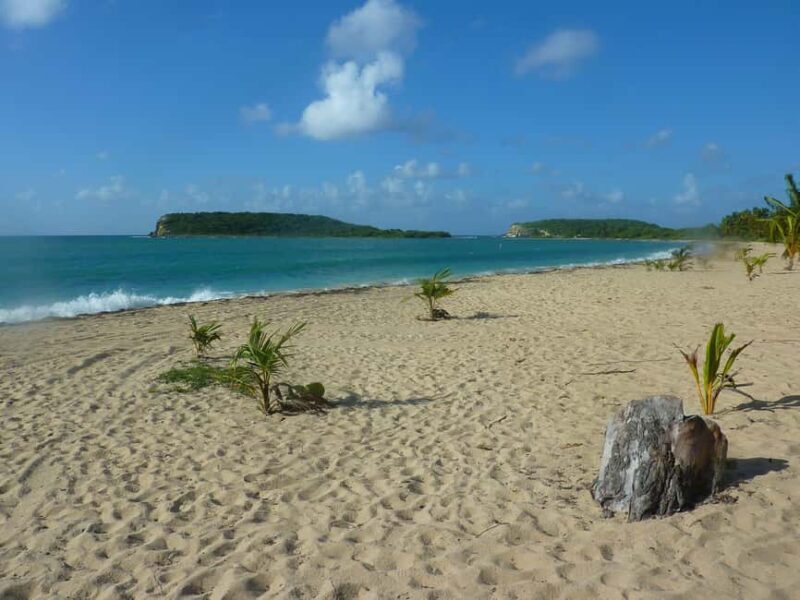 From Fajardo: Boat and Snorkeling in Culebra Island with All-Inclusive - Final Thoughts