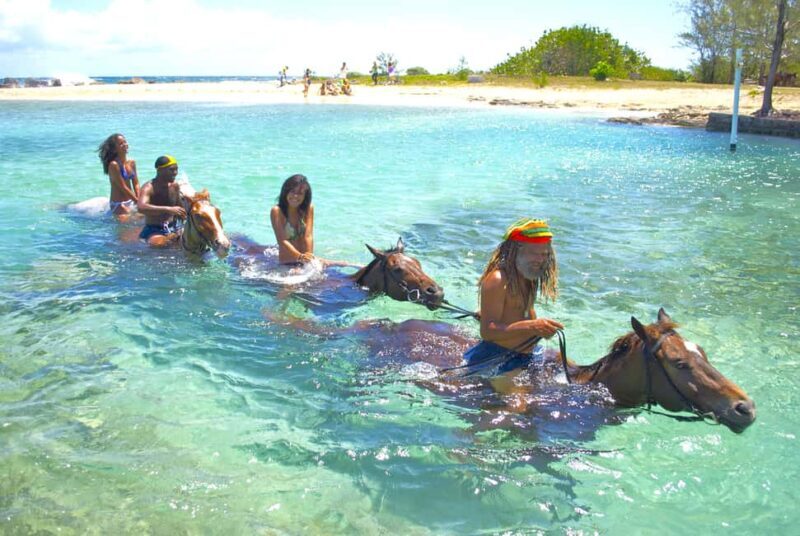 From Falmouth: Horseback Ride and Swim Beach Trip - Key Points
