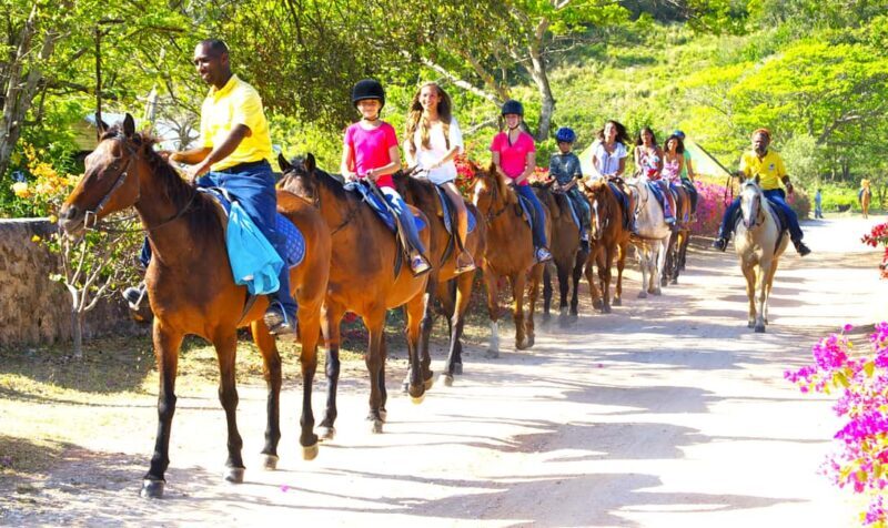 From Falmouth: Horseback Ride and Swim Beach Trip - Authenticity and Value for Money
