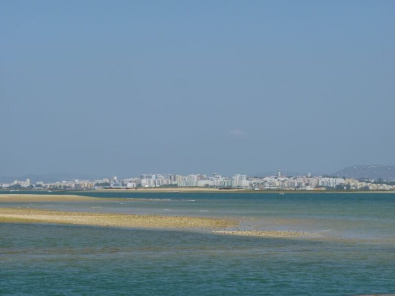 From Faro: 2-Island, 2-Stop Ria Formosa Catamaran Tour - References