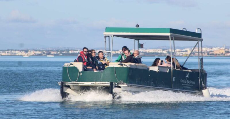 From Faro: 4 Stops, 3 Islands in Ria Formosa Catamaran Tour - Detailed Review of the Ria Formosa Catamaran Tour