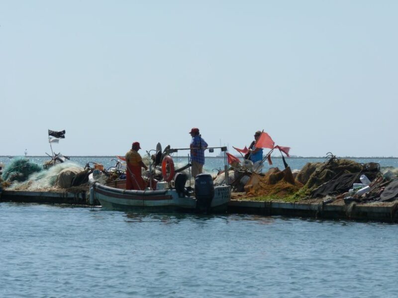 From Faro: 4 Stops, 3 Islands in Ria Formosa Catamaran Tour - Final Thoughts