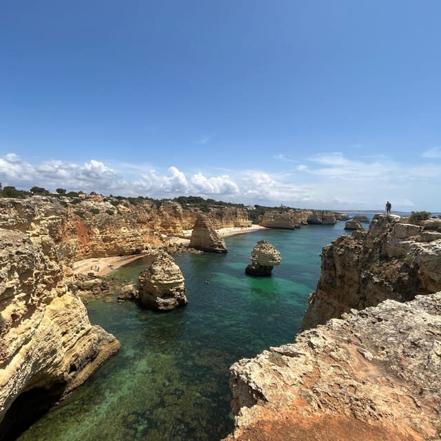 From Faro: Benagil, Algar Seco, Praia Marinha, 7 vales tour - Who will enjoy this tour?