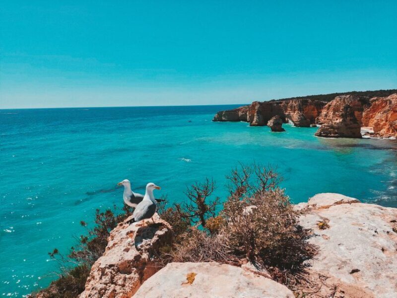 From Faro: Benagil Cave, Marinha, & Carvoeiro Full-Day Tour - An In-Depth Look at the Algarve Coastal Adventure