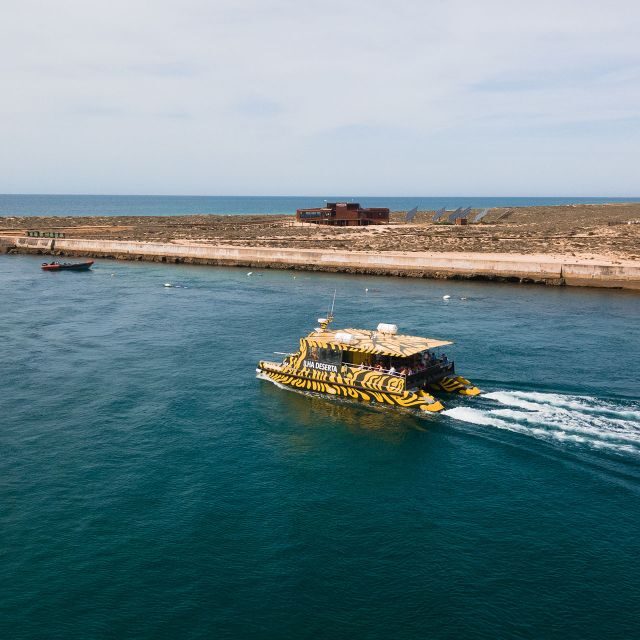 From Faro: Catamaran Boat Trip to Deserta Island with Stop - Practical Tips for the Trip