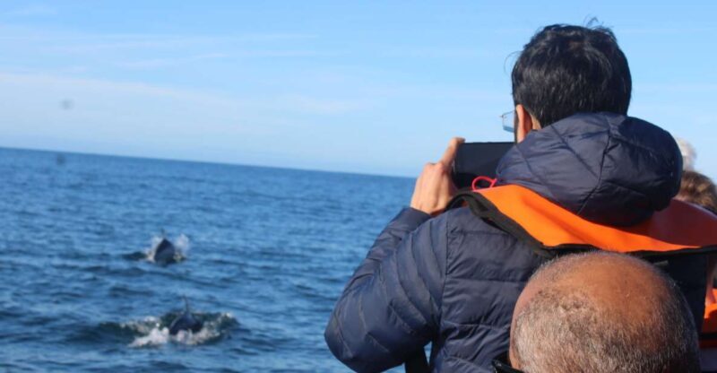 From Faro: Dolphin Watching & 2 Islands Tour - Key Points