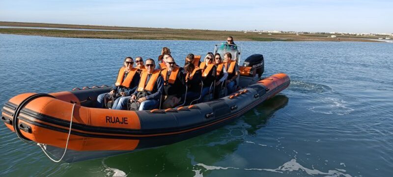 From Faro: Dolphin-Watching & Wildlife - Final Thoughts